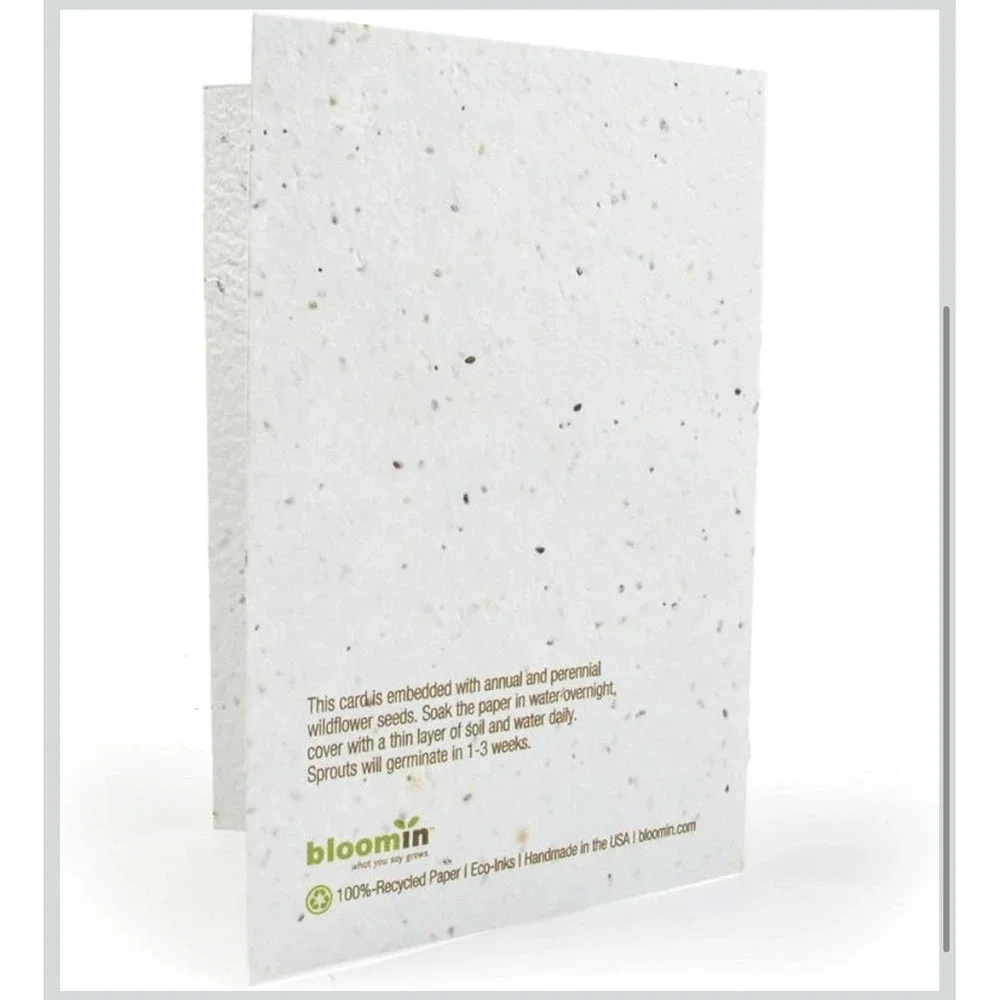 Bloomin Seeds N' Greetings Cards - Handmade Seed Paper - Happy Holidays (8 Pack)